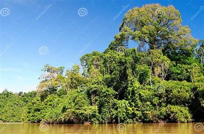 《斗仙界》0.1折手游新體驗 爽快世界，代理開發新機遇